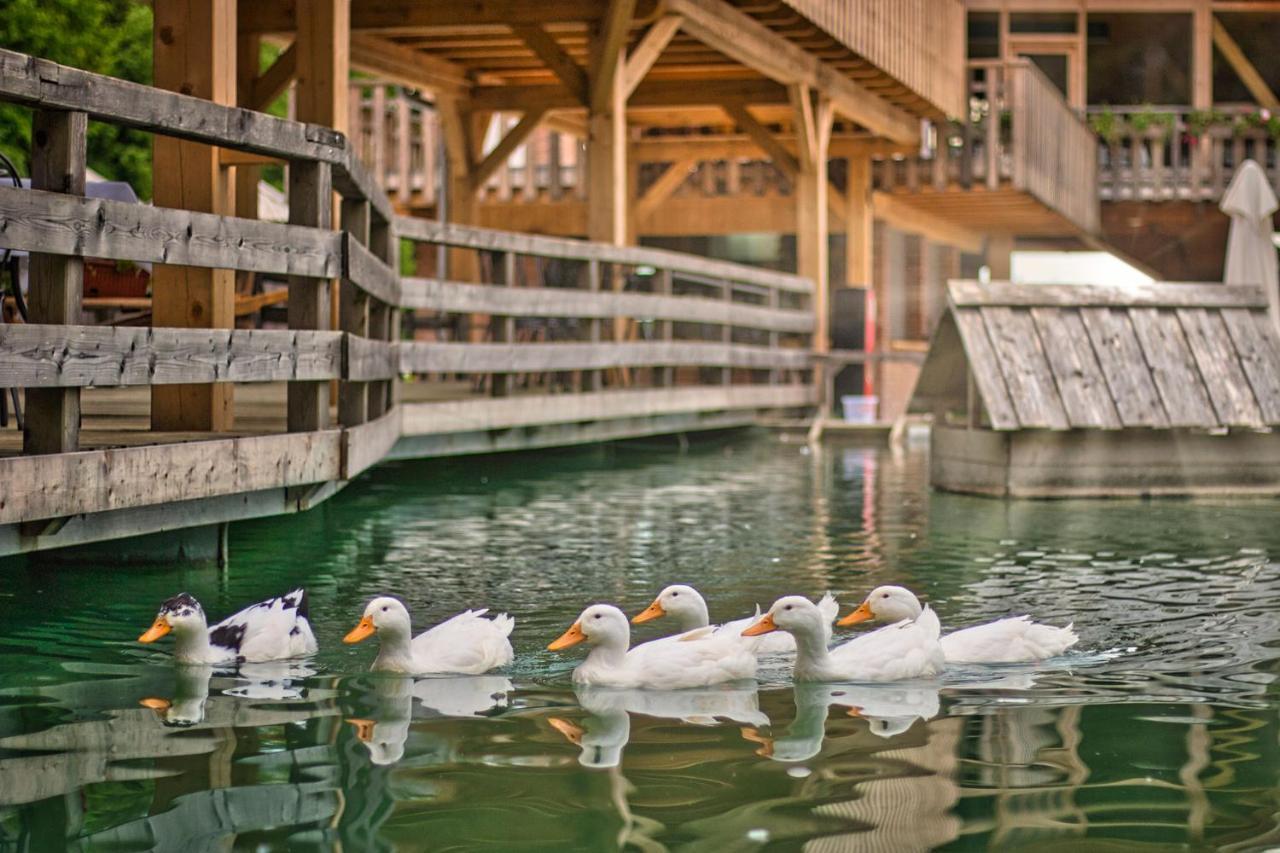 Slovenia Eco Resort Stahovica Bagian luar foto