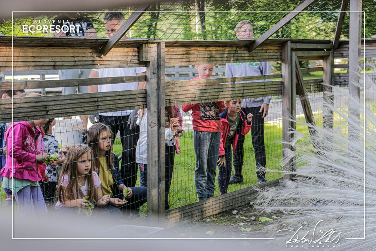 Slovenia Eco Resort Stahovica Bagian luar foto