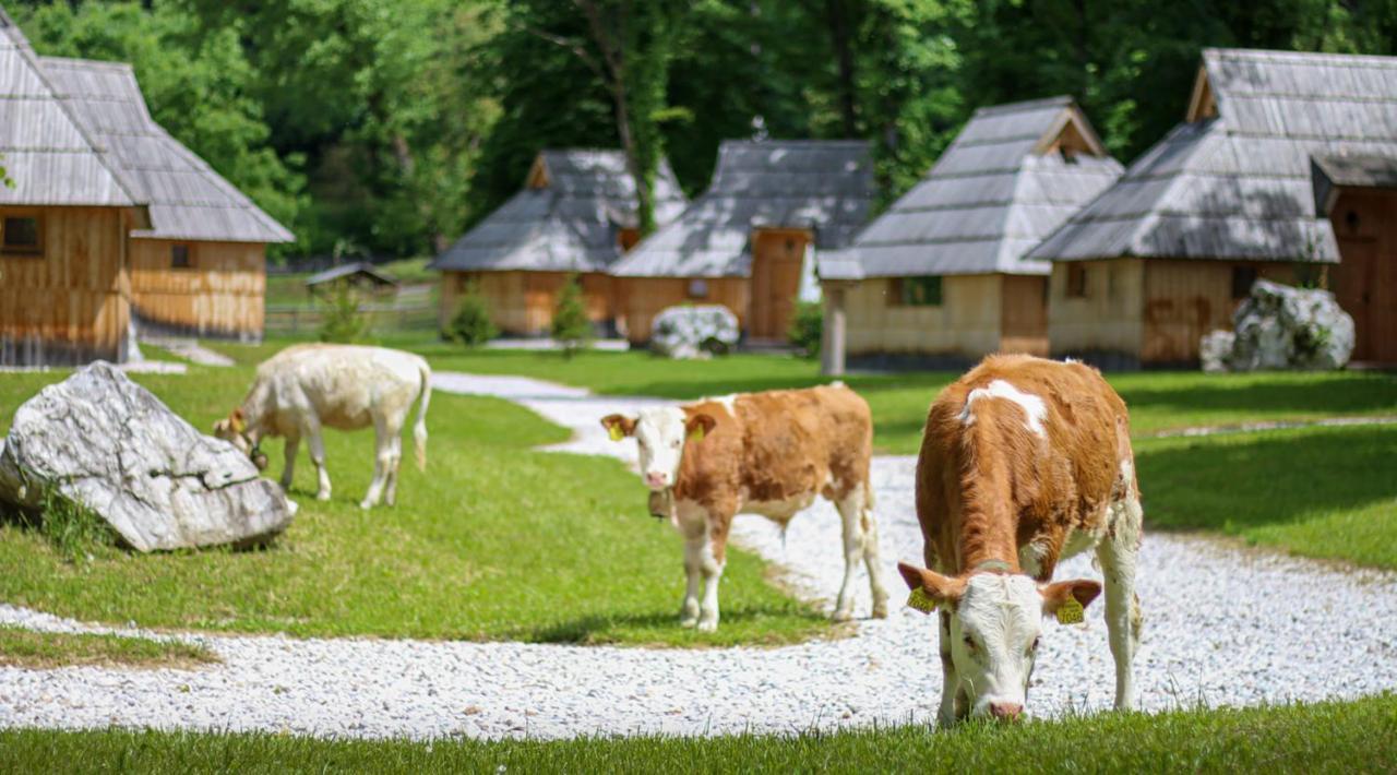 Slovenia Eco Resort Stahovica Bagian luar foto