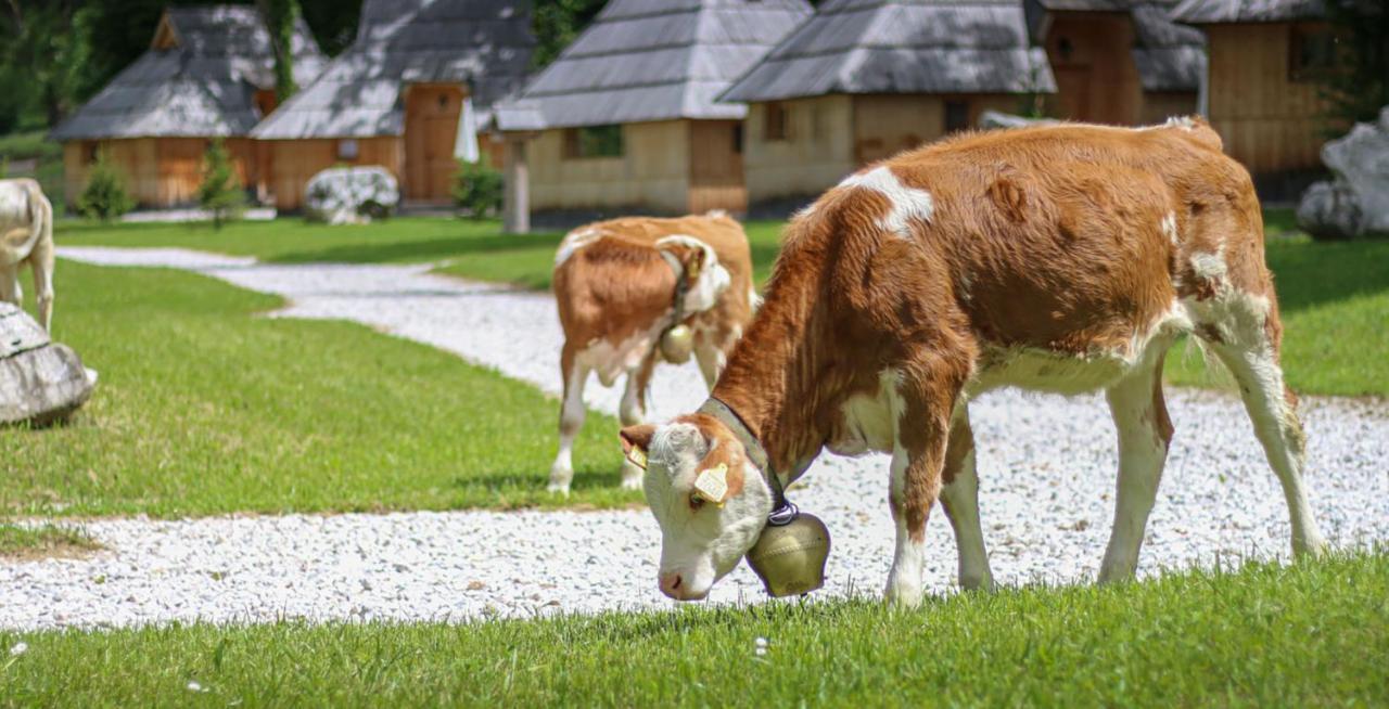 Slovenia Eco Resort Stahovica Bagian luar foto