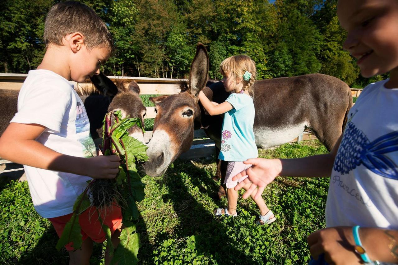 Slovenia Eco Resort Stahovica Bagian luar foto