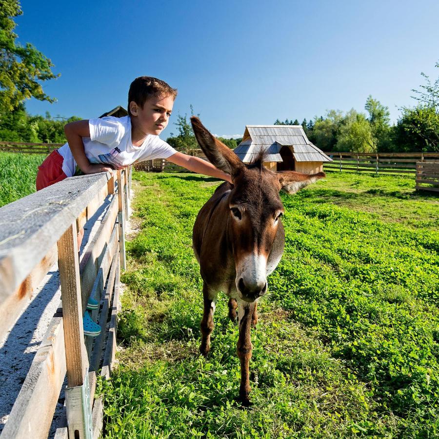 Slovenia Eco Resort Stahovica Bagian luar foto