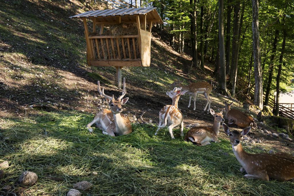 Slovenia Eco Resort Stahovica Bagian luar foto